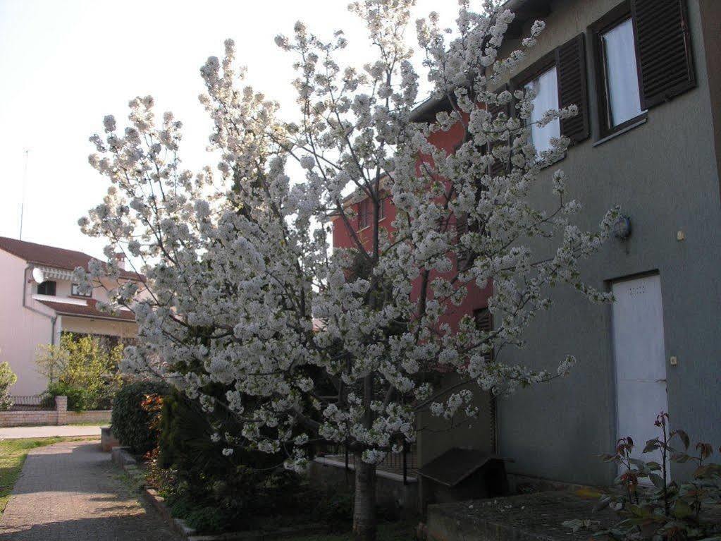 Apartment Cherry Rovigno Esterno foto